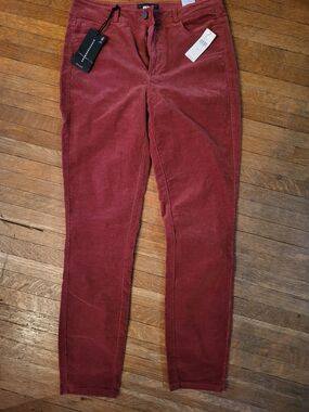 Anthropologie Skinny Corduroy Jeans in Deep Rust